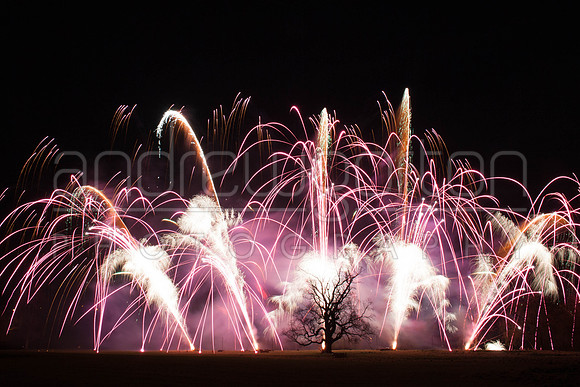 Photograph of fireworks as part of a Frozen-themed display
