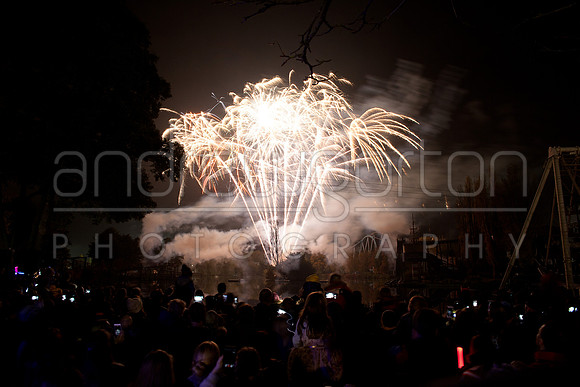A photo of fireworks taken at Drayton Manor Park's Star Wars themed Fireworks and Laser Spectacular 2016