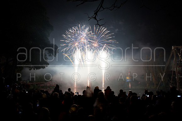 A photo of fireworks taken at Drayton Manor Park's Star Wars themed Fireworks and Laser Spectacular 2016