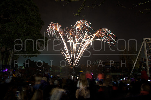 A photo of fireworks taken at Drayton Manor Park's Star Wars themed Fireworks and Laser Spectacular 2016